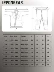 Кимоно дзюдо IPPON GEAR FUTURE 2